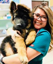 Irvine Valley Veterinary Hospital Emergency image 14