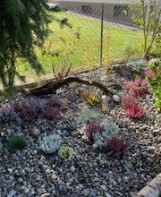 Grundstückspflege und Motorsägenkunst Colin Sand Bild 2