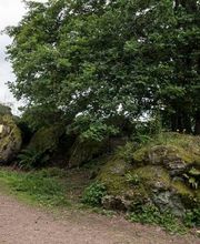 FriedWald Litermont Bild 8