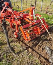 Colon Pierre SCEA image 9