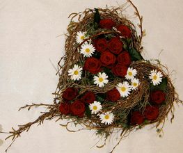 Blumen Götschi Bild 3