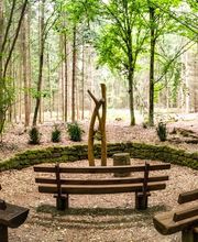 FriedWald Michelstadt im Odenwald Bild 13