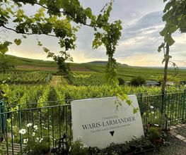 Waris Larmandier EARL image 10