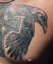 Paradize INK Tattoo Mömlingen