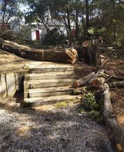 Beaudout Raphael image 13