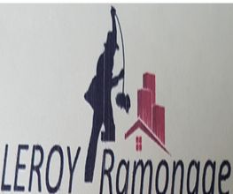 Leroy Romain image 1