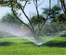 raindrop & garden GmbH Bild 1