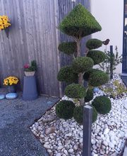 Bocquier Espaces Verts EI image 1