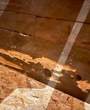 Aco.Habitat image 17