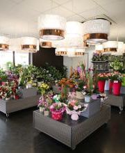 Carrément Fleurs - Fleuriste Le Passage Agen 47 - Livraison de fleurs à domicile image 7