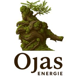 Ojas-Energie