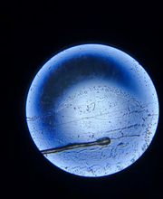 Clínica Stella imagen 9