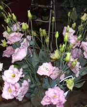 Le Temps D'aimer image 2