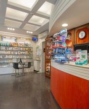 Gallery Professionale