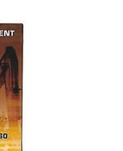 Terrassement Jean-Claude Basset image 8