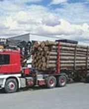 Gölz Entsorgungs GmbH + Co. KG Bild 2