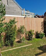 Auble Emmanuel image 1