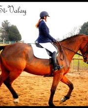 Centre équestre de Saint Valay image 4