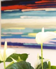 PHYSIOPRAXIS-LAHR Bild 4