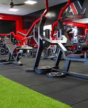 Gallery Cliente