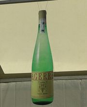 txakoli-agerre-cosecha-01.jpg