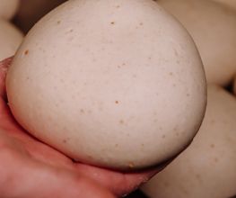 Pâton Pizz'Atomic