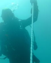 Domenico Rizzi immagine 16