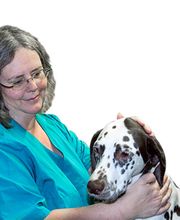 Kleintierpraxis Dr. Ursula Leyer Bild 1