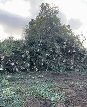 ADH Services TP image 4