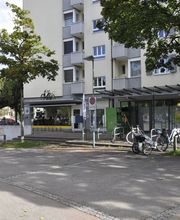 Velo Kretschmann Liebefeld Bild 1