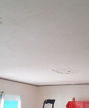 V. Daniere Multiplafonds image 10