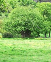 Le Don de Soi image 1