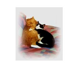 Emmas Katzenparadies Bild 1