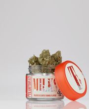 Traditional Mid-City - Cannabis Dispensary image 16