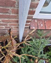 Riool Direct Brabant afbeelding 7
