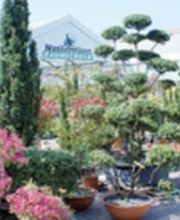 Baumschule Wassermann Bild 4