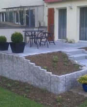 Rasen Pflanzen Pflege