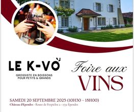 LE K-VO Sàrl Bild 3
