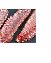 titerroy2.jpg