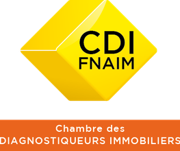 DL Diagnostics image 3