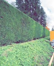 Alain Dutoit Jardinier-Paysagiste Sàrl Bild 4