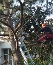 A Fleur d'Ecorce EURL image 3