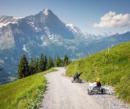 First Mountain Cart Bild 1