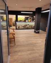 Dolomiti Ski Rent immagine 2