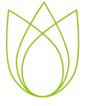 Wittoesch Gartenbau Bild 5