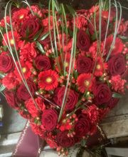 Blumen Sebastian Stransky Bild 6