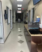 Western Dental & Orthodontics image 4