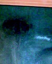 Dos-F Desatrancos imagen 9