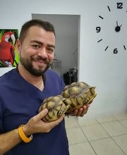 Clinica Veterinaria Exotia Santa Ursula imagen 9