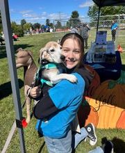 Spa Paw & Tail Premier Pet Resort image 9